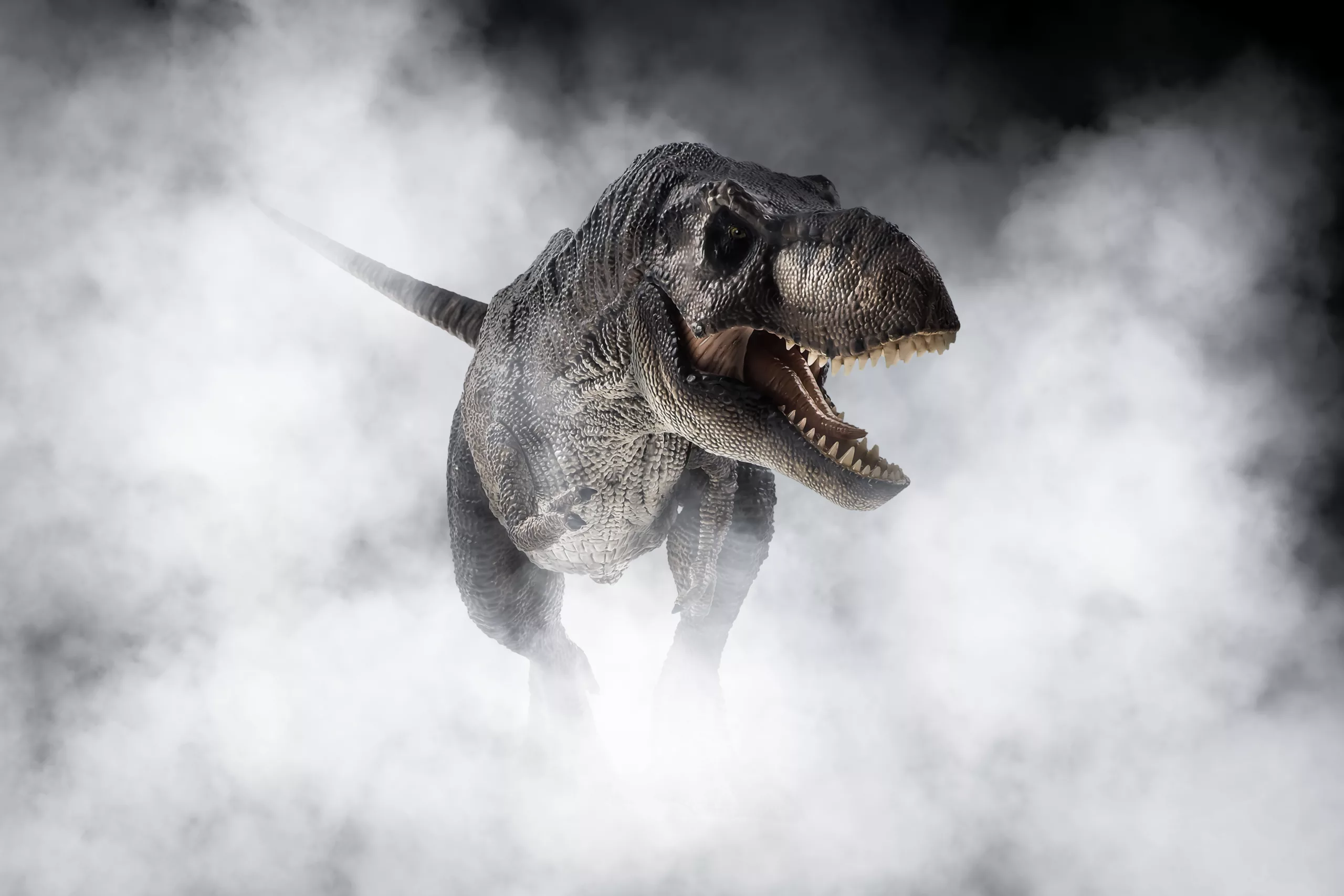 Tyrannosaurus Rex dinosaur dossier on smoke background