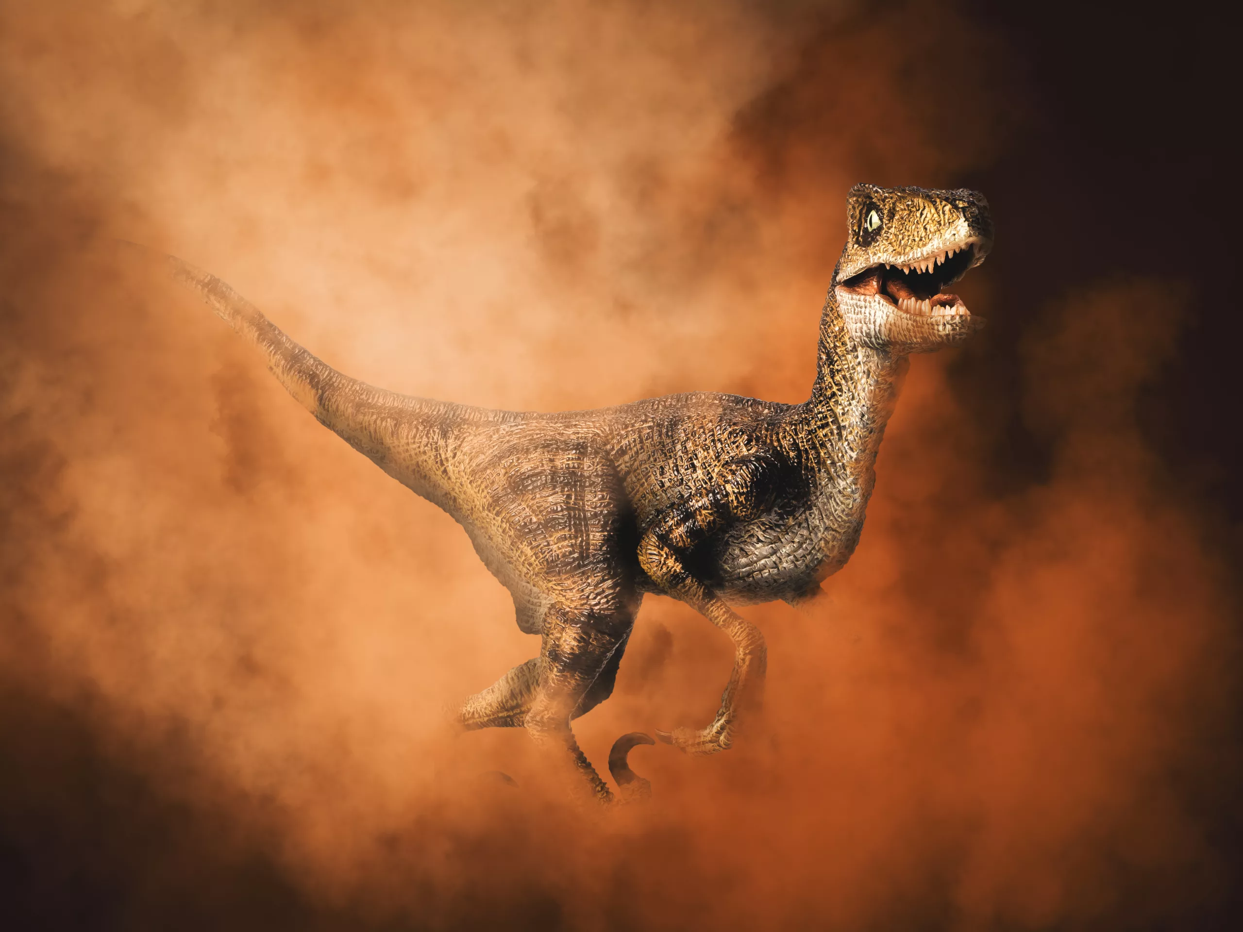 Velociraptor Dinosaur dossier on smoke background